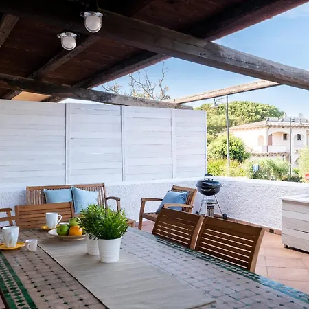 Ca Cele Viola - Klodge *