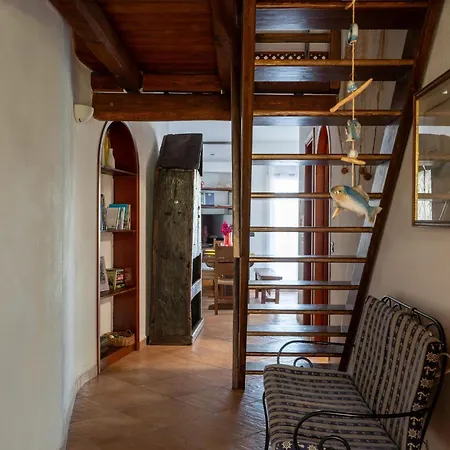 Ca Cele Viola - Klodge * Όλμπια